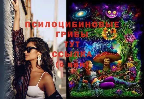 дживик Абаза