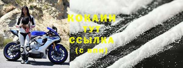 дживик Абаза