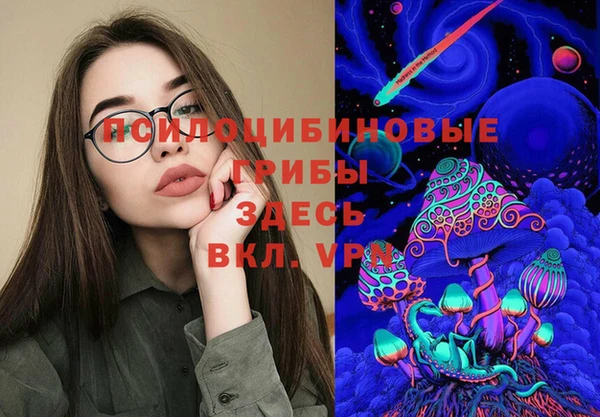дживик Абаза