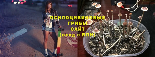 дживик Абаза