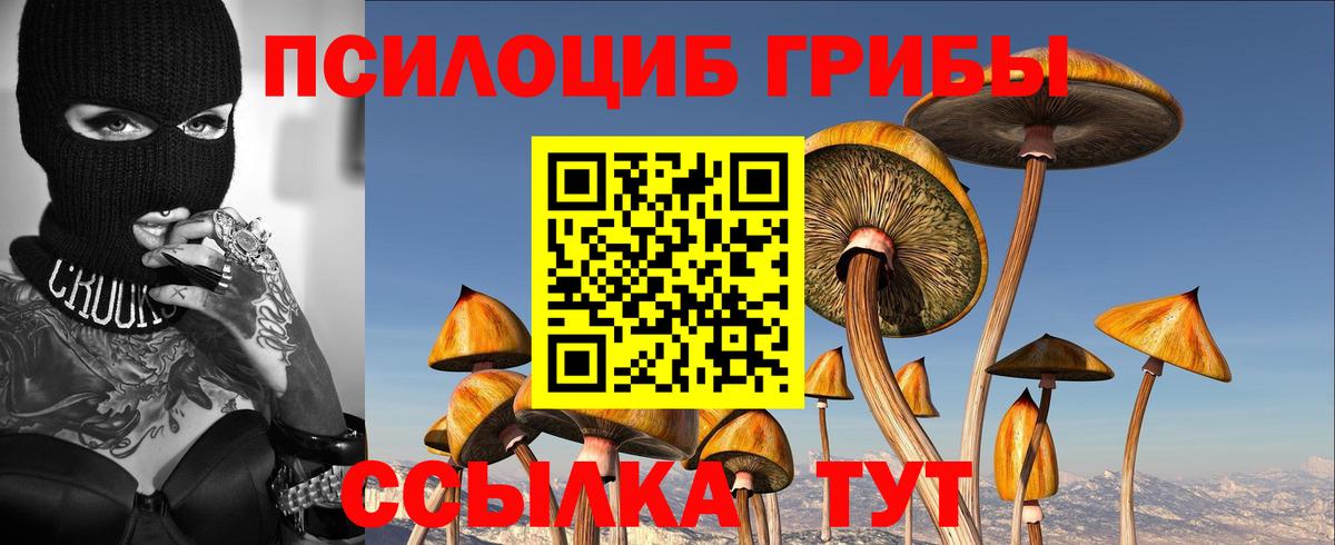 Россошь  Псилоцибиновые грибы Psilocybe  Псилоцибиновые грибы Magic Shrooms  Вход с VPN 