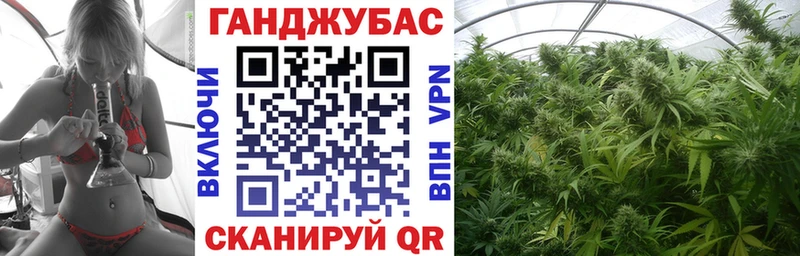 Конопля планчик Россошь